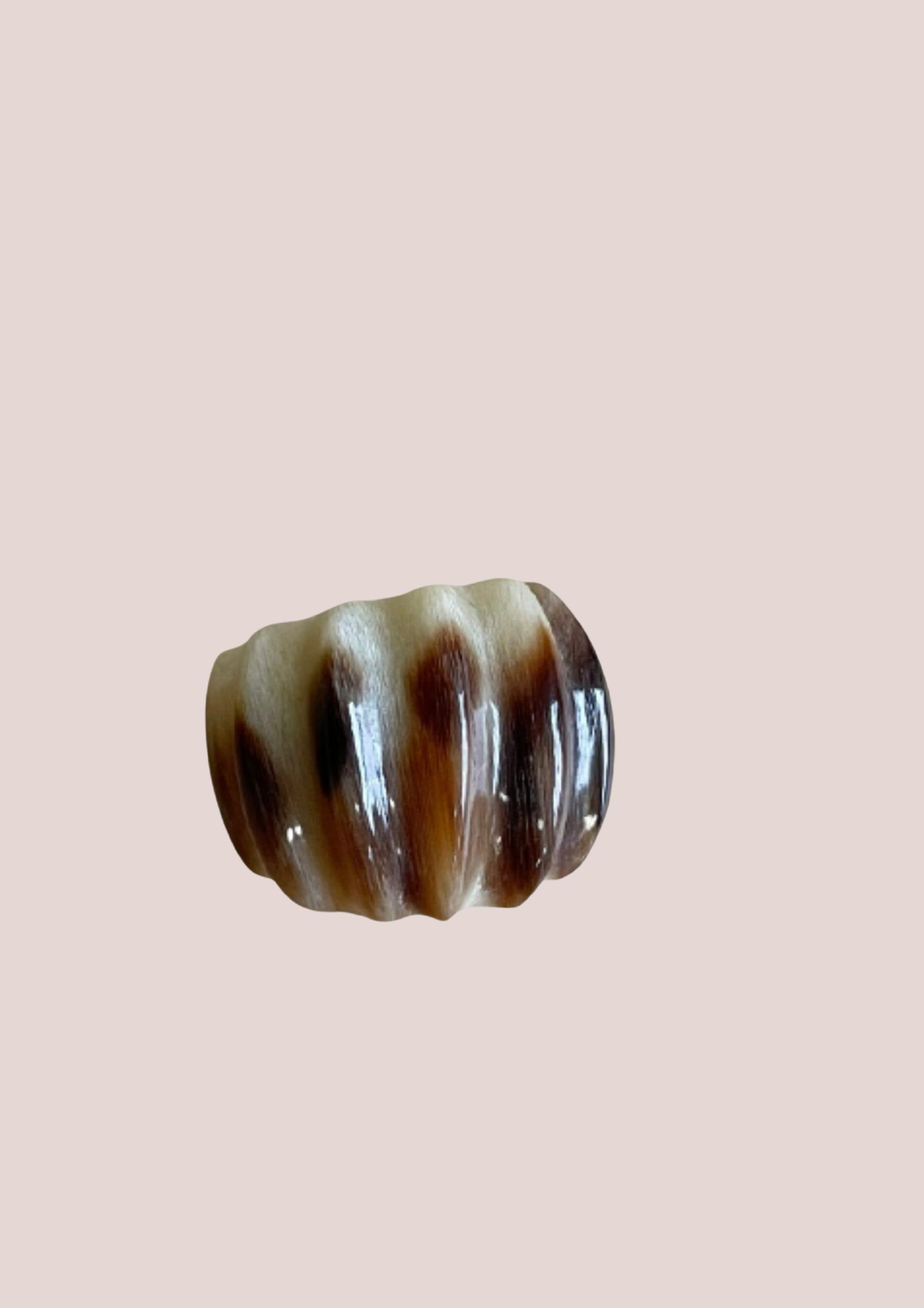 Bague en corne ” La belle friche”
